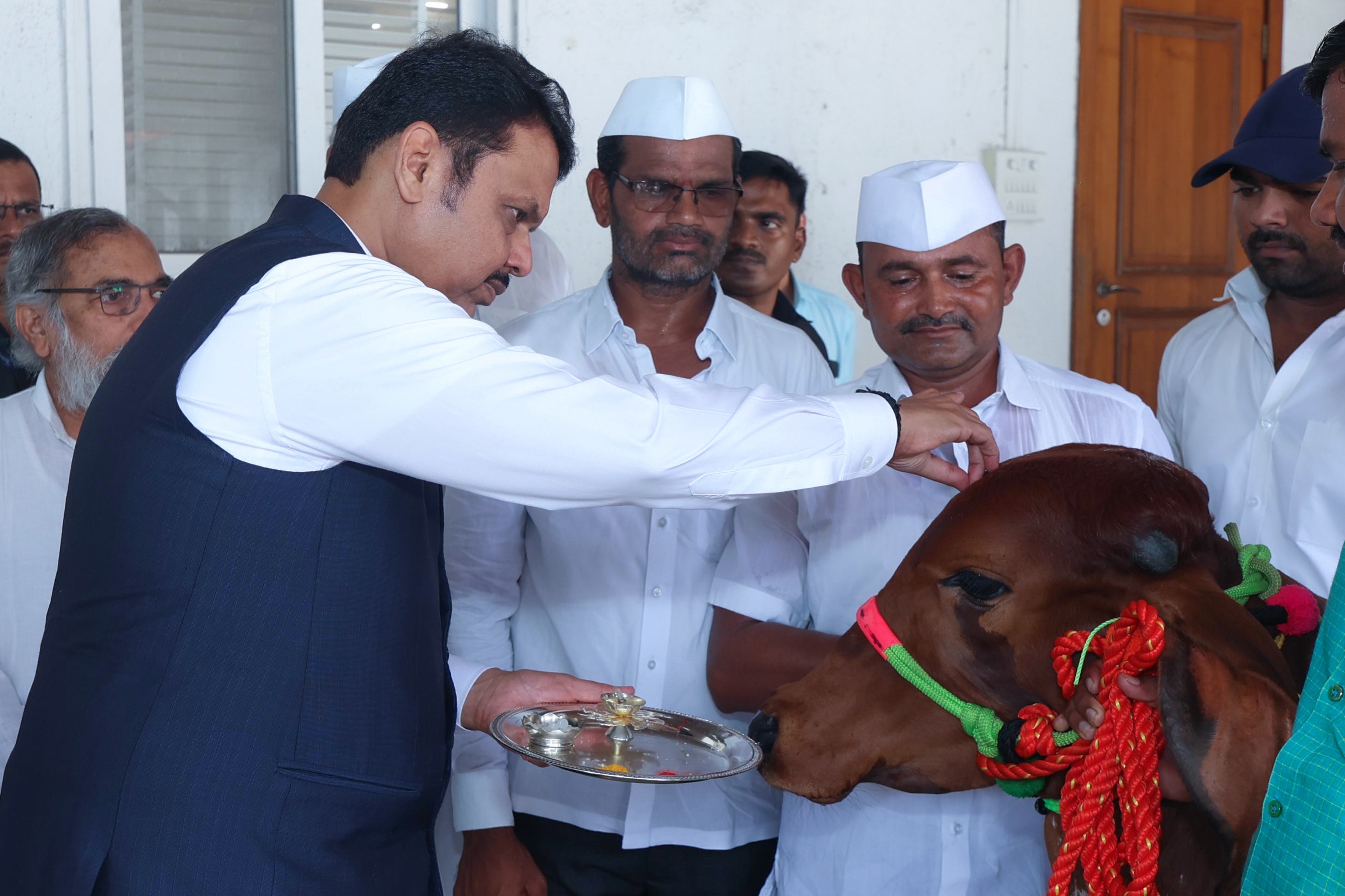 फडणवीस ने गौ पूजा की